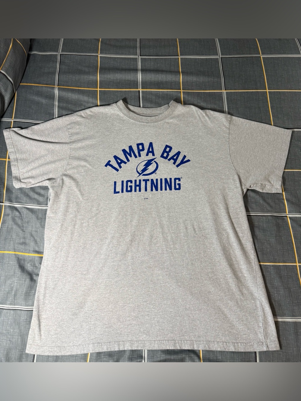 🏈🖤NWOT Fanatics Grey Tampa Bay Lightning Men’s Shirt Size 3XL